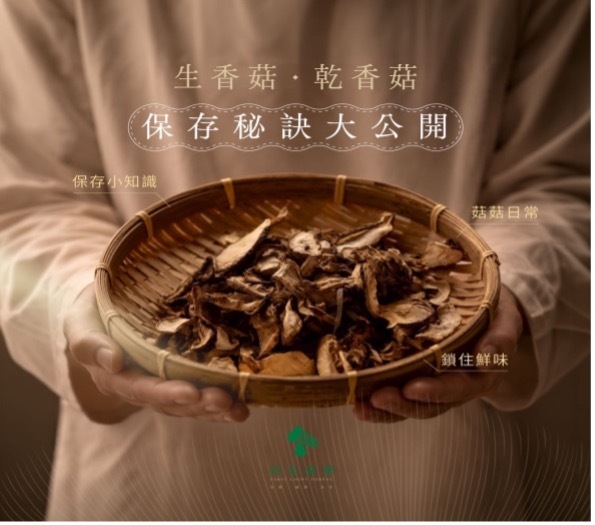 初光森蕈圖片