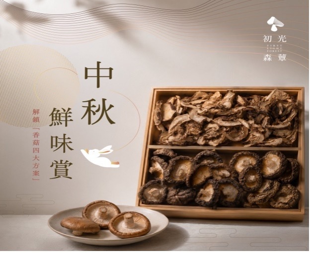 初光森蕈圖片