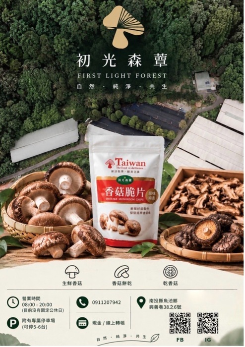初光森蕈圖片
